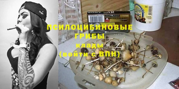 apvp Алексеевка