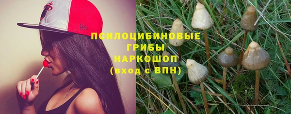 mix Алексин