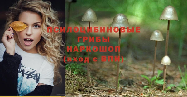 тгк Алзамай