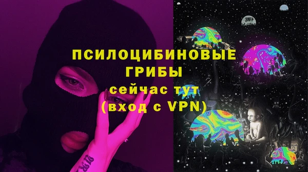 тгк Алзамай