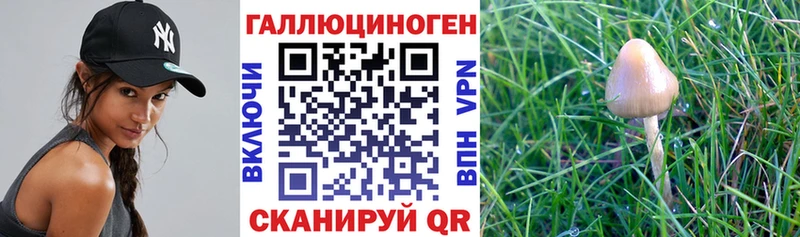 Галлюциногенные грибы мицелий Петрозаводск