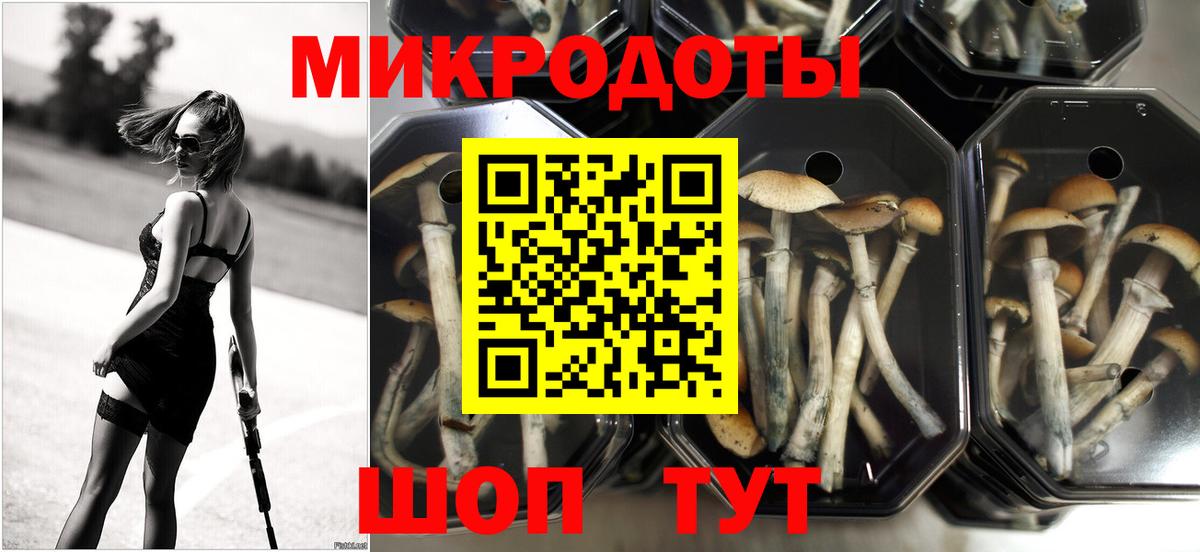 Петрозаводск  Галлюциногенные грибы Magic Shrooms  Вход с VPN 