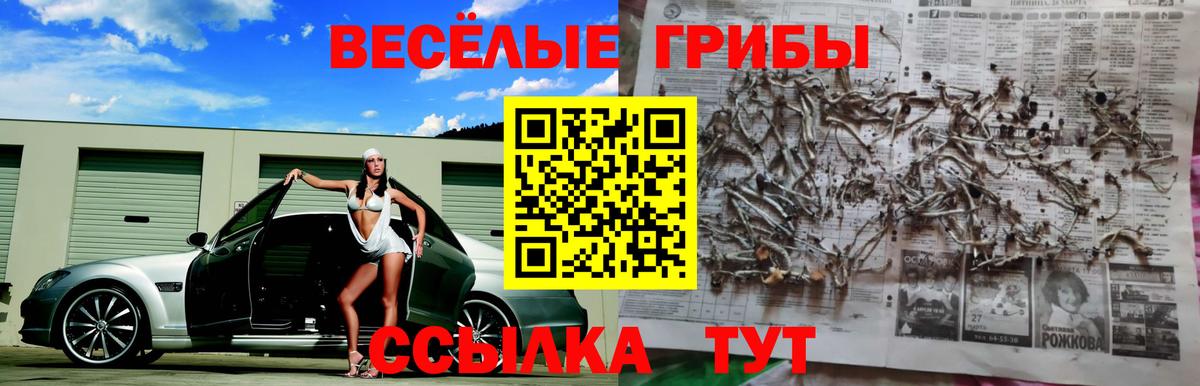 Галлюциногенные грибы ЛСД Петрозаводск